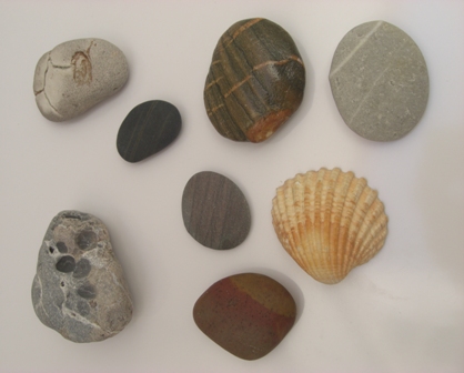 Pedras e Conchas apanhadas em São Pedro de Moel
